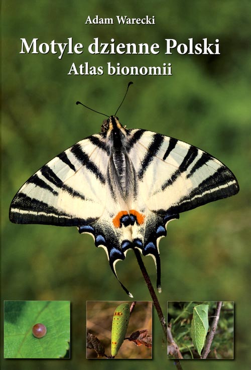 Motyle dzienne Polski atlas bionomii