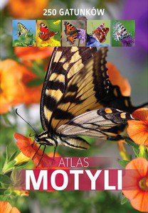 Atlas Motyli – 250 gatunków
